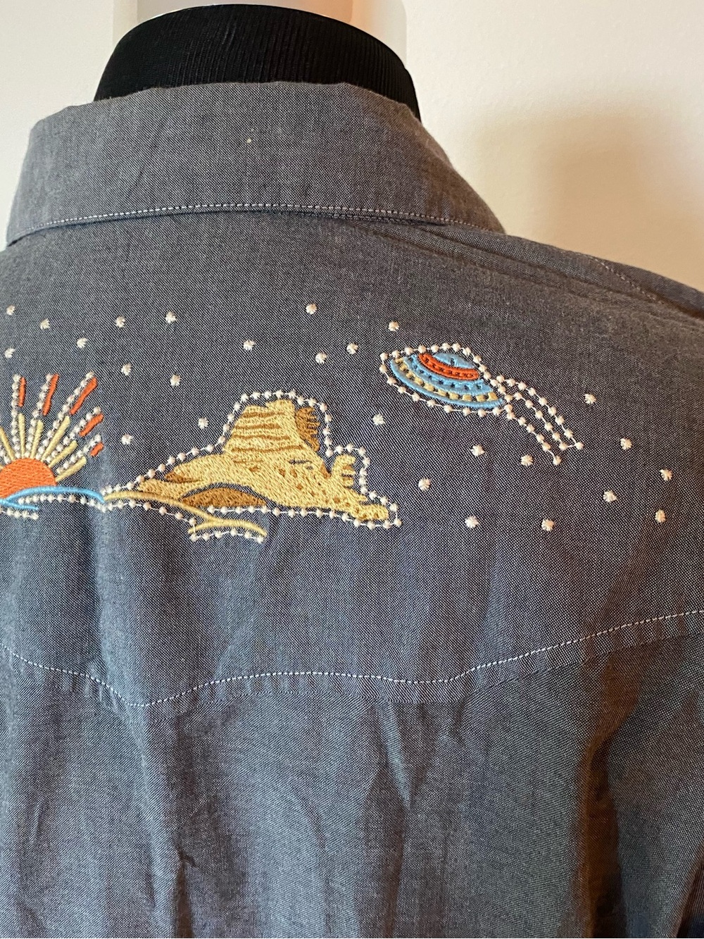 Rare Howler Brothers Gaucho Desert Paranormal UFO Snapshirt Men’s Large - Picture 6 of 9